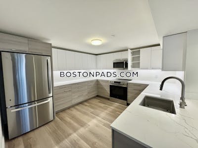 Allston Apartment for rent 2 Bedrooms 2.5 Baths Boston - $3,650 No Fee
