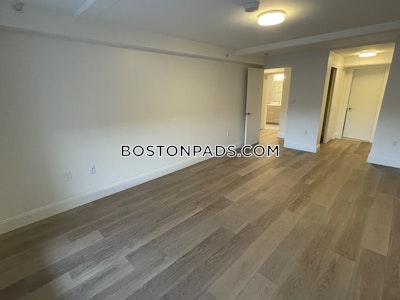 Allston 2 bedroom 2.5 baths in BOSTON Boston - $3,650 No Fee
