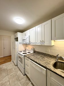 Allston/brighton Border Apartment for rent 1 Bedroom 1 Bath Boston - $2,350 No Fee