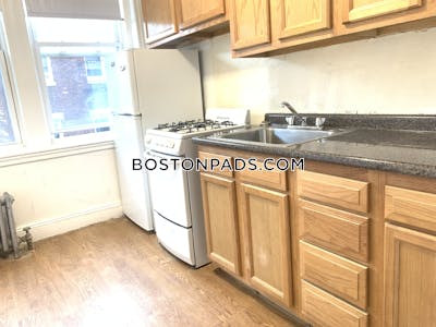 Brighton Apartment for rent 1 Bedroom 1 Bath Boston - $2,325 No Fee