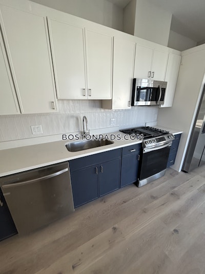 Allston Apartment for rent 2 Bedrooms 2 Baths Boston - $3,595 No Fee