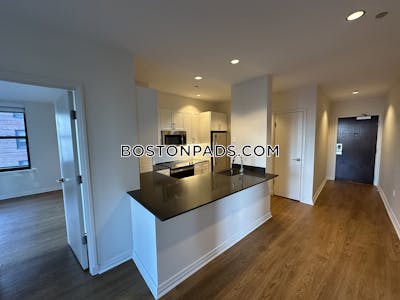 Downtown Apartment for rent 2 Bedrooms 2 Baths Boston - $5,031