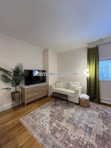 Back Bay Apartment for rent Studio 1 Bath Boston - $2,500 No Fee