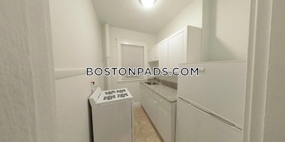 Allston/brighton Border Apartment for rent 1 Bedroom 1 Bath Boston - $2,400