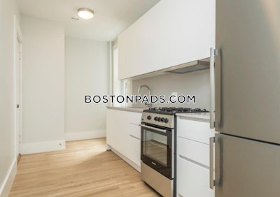 Brighton Apartment for rent 1 Bedroom 1 Bath Boston - $2,900