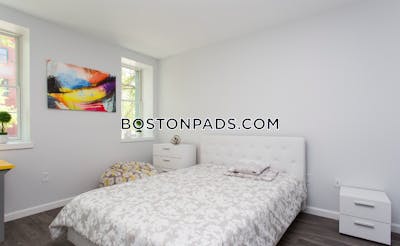 Brighton Apartment for rent 1 Bedroom 1 Bath Boston - $3,300